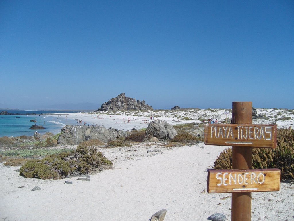 Las mejores playas de Chile, Playas de Chile